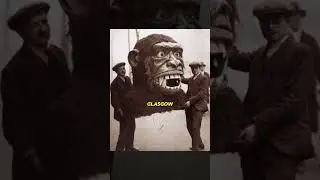 Rare Images That Capture History&rsquo;s Most Unforgettable Moments.#history