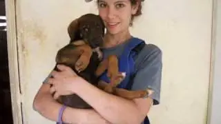 Malta dogs say thanks Rosalind !!! (Grazzi hafna)