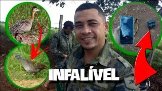 Caçada de Perdiz e Lanbú pé Vermelho Tinha bastante, Veja o video #caça #pescaria #pesca