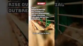 H5N1 Bird Flu Threat: Vaccine Development Challenges #shorts #H5N1