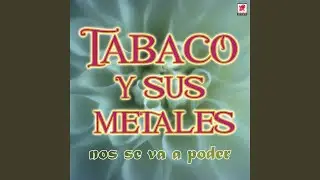Mi Celda