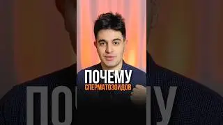 Почему сперматозоидов больше в четыре раза