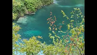 The Turquoise Plitvice Lake #plitvice #lake #croatia