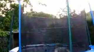 World Class trampolinist