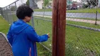 FINDING YOUTUBE SENSATION REDVACTOR