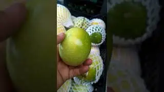 Yellow Passion Fruit (maracuya)
