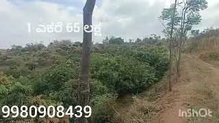 79.ID#.1 ಎಕರೆ 10 ಕುಂಟೆ for sale 🥭🥭🥭🥭9980908439
