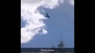 flying horse