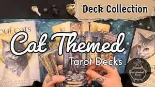 Cat-themed tarot decks ✨ LOOK WHAT THE CAT DRAGGED IN✨