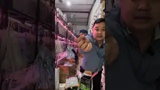 khác biệt cốt nền và phân nền