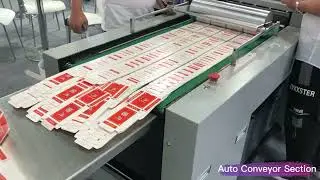 Sheet Fed Rotary Die Cutting and Creasing Machine for Cartons with Kiss Cutting