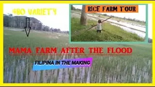FARM TOUR /FARMING IS NOT JUST A JOB ITS THE WAY OF LIFE