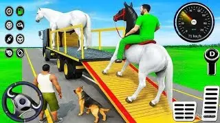 Animal 🦏🦛🦒Cargo Transport Game 🚚 | New USA City New Place Gameplay