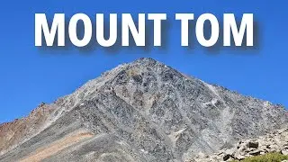 Mount Tom