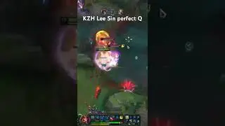 KZH Lee Sin perfect Q #kzh #leesin