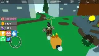 PLAYING ZOMBIE SLAYING SIMULATOR