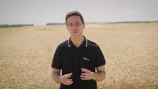 Демо опит със сеялка Vaderstad Proceed - сеитба, проследяване и резултати 2024/2025