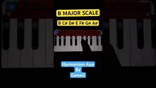 B Scale Harmonium 🎹🔥#shorts #harmonium