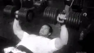 New Body Nutrition CREA 8