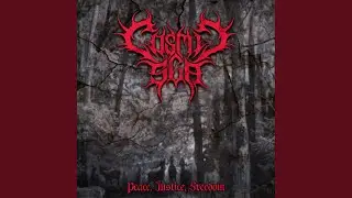 Forest of the Lost Souls (feat. Vehementh)