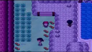 Pokemon Infinite Fusion. Water Maze Anyone?