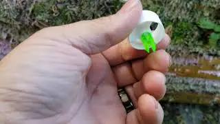 FOB Fletching, Ezv Bow Sight, Hoyt Rx-1, Detail Guys Arrow Wraps