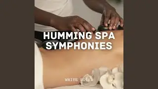 Calming Spa Soundtrack