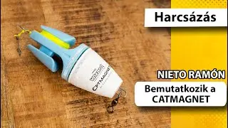 Forradalmi &uacute;jdons&aacute;g harcs&aacute;soknak: CATMAGNET