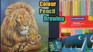 Drawing a lion/Lion colour pencil drawing /Colour pencil drawing
