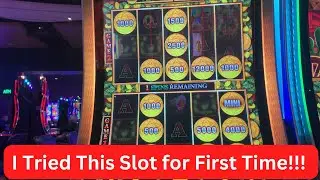 Я попробовал слот Double Money Link в казино Cascade в Лэнгли, Канада #казино #слоты
