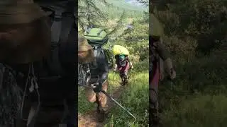 В центре Сибири