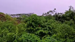 make sleep soundly this morning heavy rain in the mountains 
