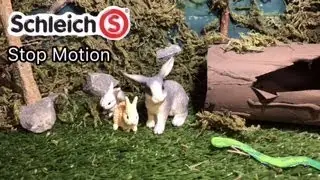 Short & Cute Stop Motion with Schleich Rabbits!🐰🐇