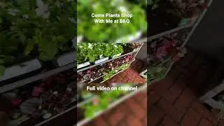 Garden Centre B&Q UK 🇬🇧