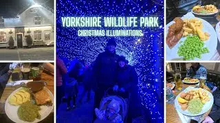 Yorkshire Wildlife Park Christmas Illuminations