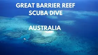 GREAT BARRIER REEF SCUBA DIVE WITH OCEAN FREEDOM | AUSTRALIA