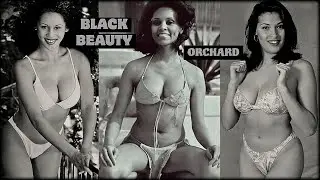 THE QUEENS OF JET MAGAZINE: VINTAGE BLACK BEAUTY YOU'VE NEVER SEEN BEFORE