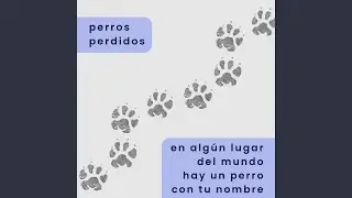 En alg&uacute;n lugar del mundo hay un perro con tu nombre (perros perdidos)
