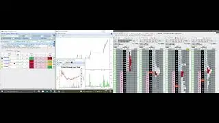 Low Volume, Low Liquidity Reversal Trade. Betfair trade. Pre off horse racing.