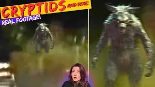 These CRYPTID SIGHTINGS Will TERRIFY You *CAUGHT ON TAPE*