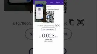 Auto-Hide feature in Ywallet #shorts #cryptocurrency #zcash #privacy #defi