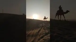 Sunset camel ride at Sam sand dune jaisalmer