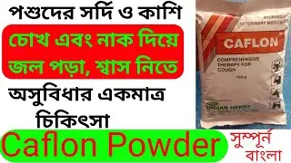 পশুর সর্দি ও কাশি চোখ এবং নাক দিয়ে জল পড়া,শ্বাস নিতে নিতে অসুবিধার একমাত্র চিকিৎসা Caflon Powder