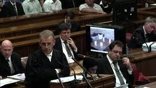 Friend says Pistorius had 'big love' for guns