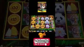 Dragon Link Panda Magic $10 bet  #casino #slot#dragonlink
