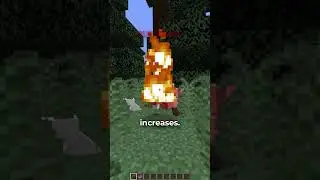 How Much Damage Can ONE Arrow Do?