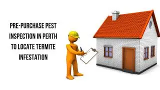 Locate Termite Infestation With Pre Purchase Pest Inspection