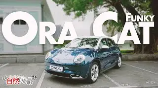 齊來做貓奴 - 廿鬆萬唔錯嘅選擇 - Ora Funky Cat 歐拉好貓
