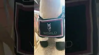 New Rug for My LeMieux Toy Pony