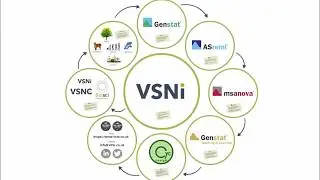 VSNi Company Overview